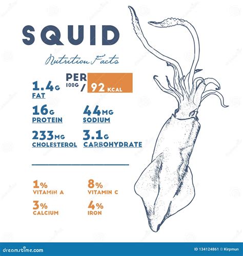 squid nutrition facts